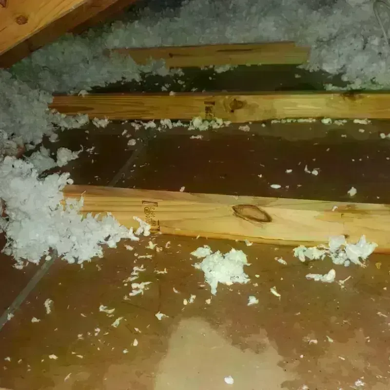 Attic Water Damage in Jamestown, OH