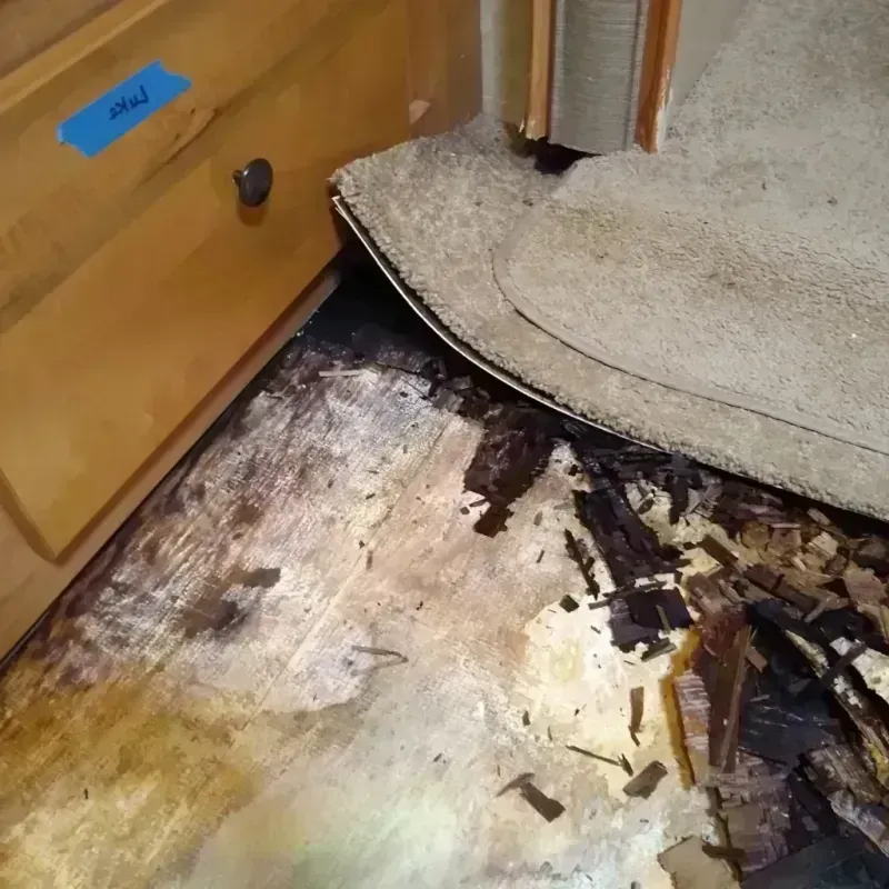 Wood Floor Water Damage in Jamestown, OH